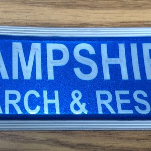 Hampshire Encapsulated Badge
