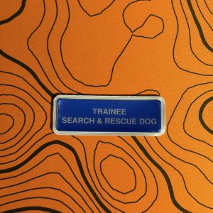 Trainee Search & Rescue Dog encapsulated badge
