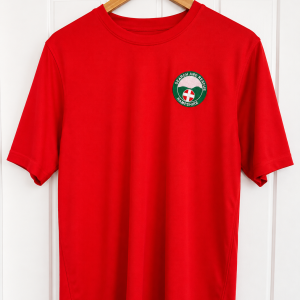 Hampshire T-Shirt Embroidered